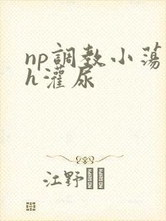 np调教小荡货h灌尿