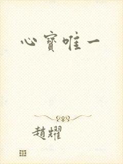 心宝唯一