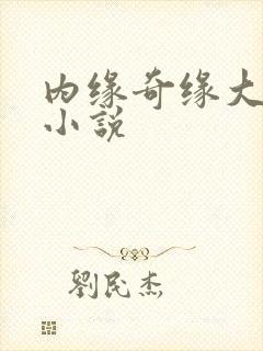 内缘奇缘大团圆小说