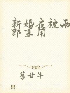 新婚夜被两个伴郎享用