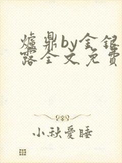 炉鼎by金银花露全文免费阅读笔趣阁