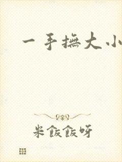 一手抚大小说