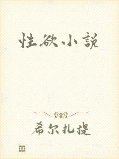 性欲小说