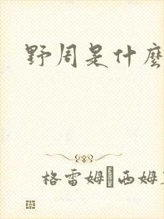 野周是什么意思