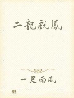 二龙戏凤