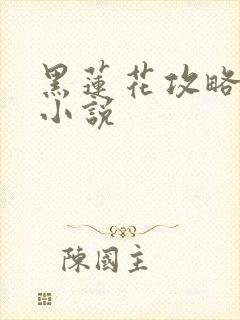 黑莲花攻略手册小说