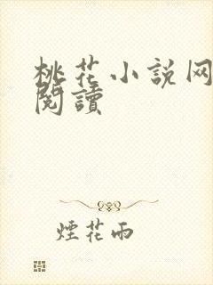 桃花小说网小说阅读