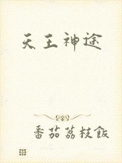 天王神途