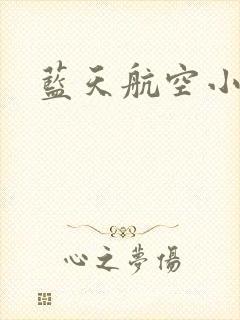 蓝天航空小说