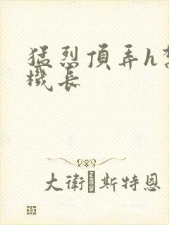 猛烈顶弄h禁欲机长