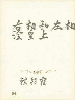 右相和左相一起淦皇上