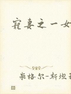 宠妻之一女二夫