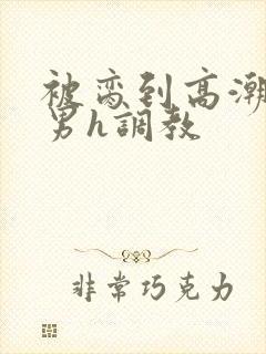 被脔到高潮的直男h调教