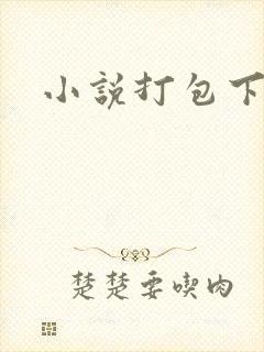 小说打包下载