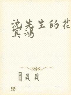 沈先生的花式调冥鸿