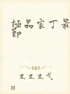 极品家丁最新章节