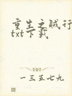重生之贼行天下txt下载