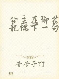 公主在御花园吃龙棍下一句