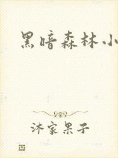 黑暗森林小说