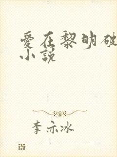 爱在黎明破晓前小说