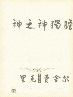 神之神独胆王