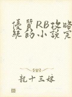 优质RB攻略系统的小说完整版