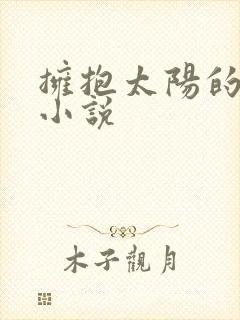 拥抱太阳的月亮小说