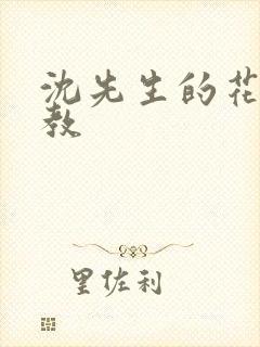 沈先生的花式管教