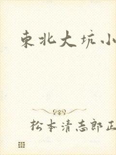 东北大坑小说