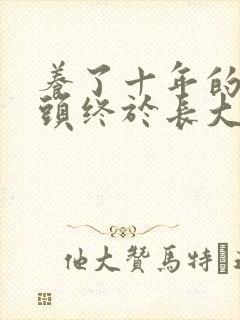 养了十年的小丫头终于长大了