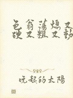 色翁荡熄又大又硬又粗又动态图