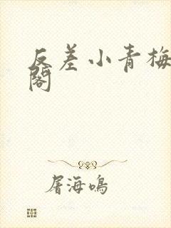 反差小青梅笔趣阁