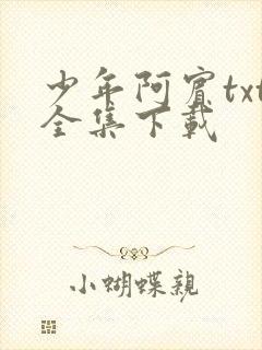 少年阿宾txt全集下载