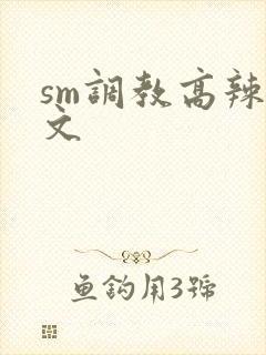 sm调教高辣h文