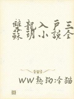 双龙入户三人行苏玥小说全文阅读