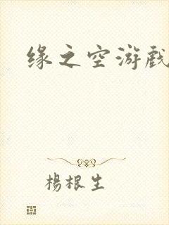 缘之空游戏