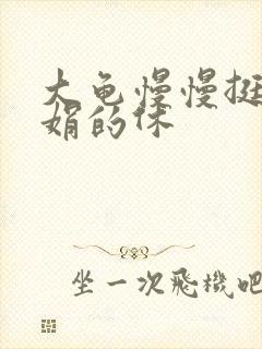 大龟慢慢挺进张娟的休