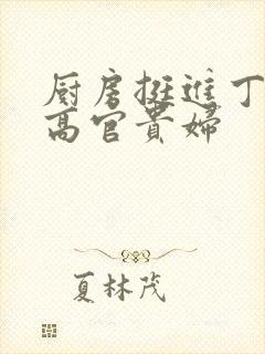 厨房挺进丁字裤高官贵妇