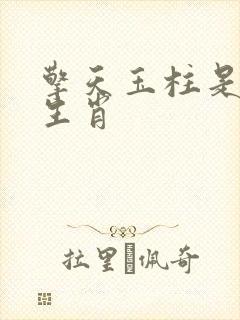 擎天玉柱是什么生肖