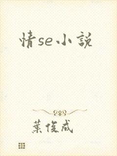 情se小说