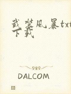 武装风暴txt下载