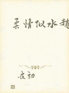 柔情似水赵雅儿