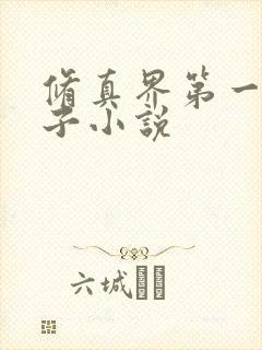 修真界第一病秧子小说