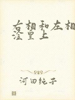 右相和左相一起淦皇上