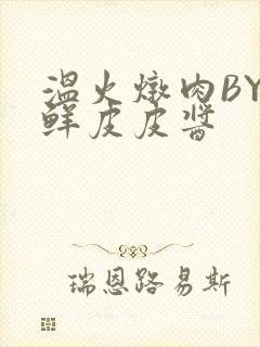 温火炖肉BY海鲜皮皮酱