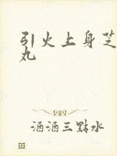 引火上身芝麻糖丸