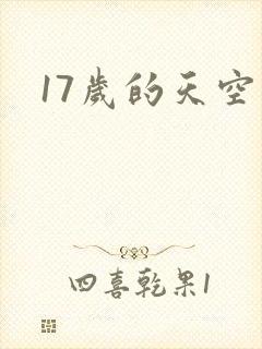17岁的天空