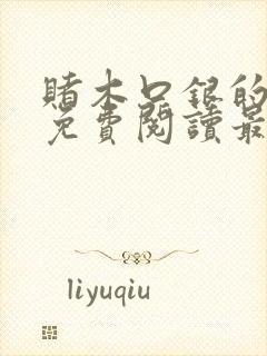 赌木口银的小说免费阅读最新