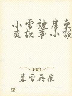 小雪被房东的好爽故事小说