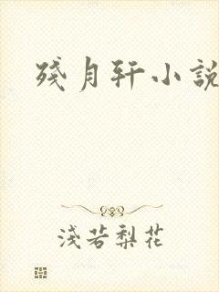 残月轩小说网